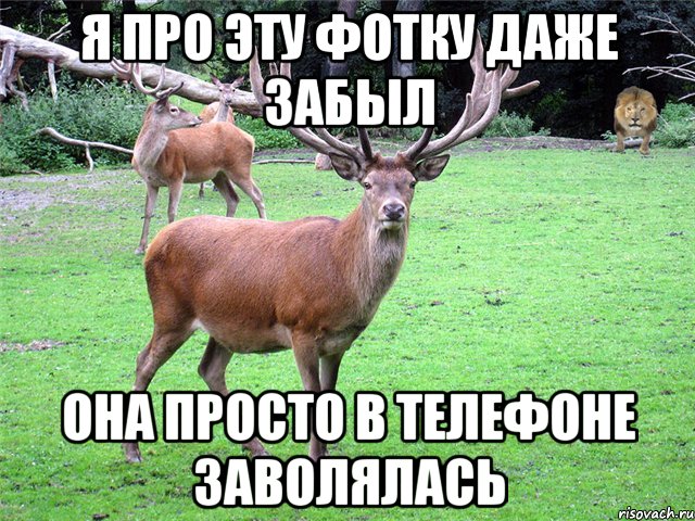 Я про эту фотку даже забыл Она просто в телефоне заволялась