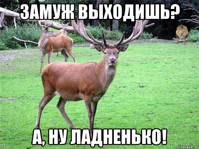 Замуж выходишь? А, ну ладненько!