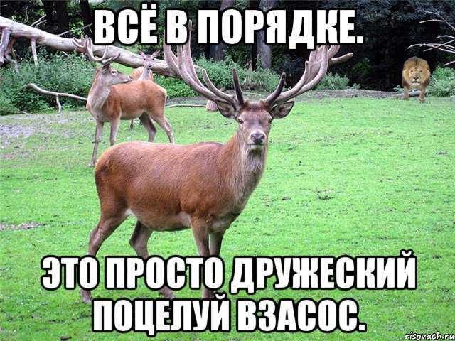 Всё в порядке. Это просто дружеский поцелуй взасос.