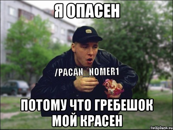 Я опасен Потому что гребешок мой красен