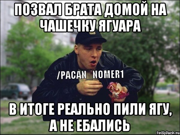 Позвал брата домой на чашечку ягуара В итоге реально пили ягу, а не ебались
