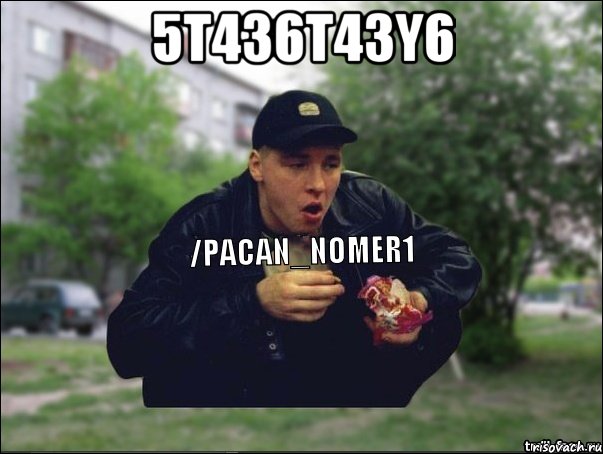 5t436t43y6 