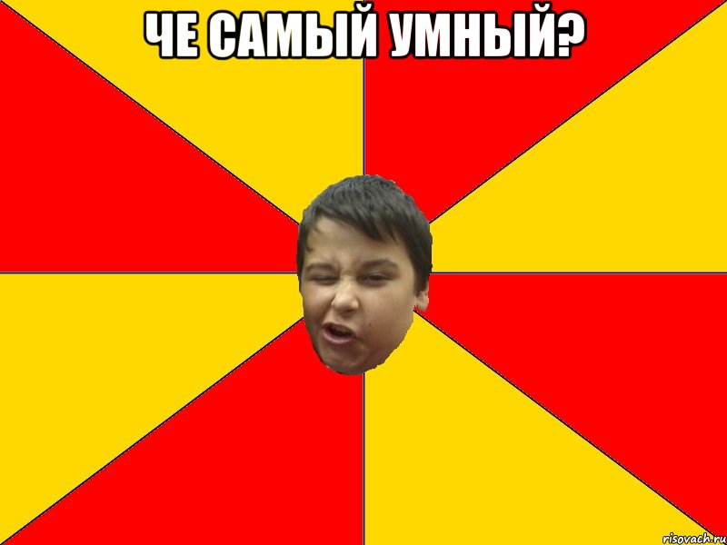 ЧЕ САМЫЙ УМНЫЙ? 