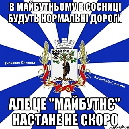 В МАЙБУТНЬОМУ В СОСНИЦІ БУДУТЬ НОРМАЛЬНІ ДОРОГИ АЛЕ ЦЕ "МАЙБУТНЄ" НАСТАНЕ НЕ СКОРО