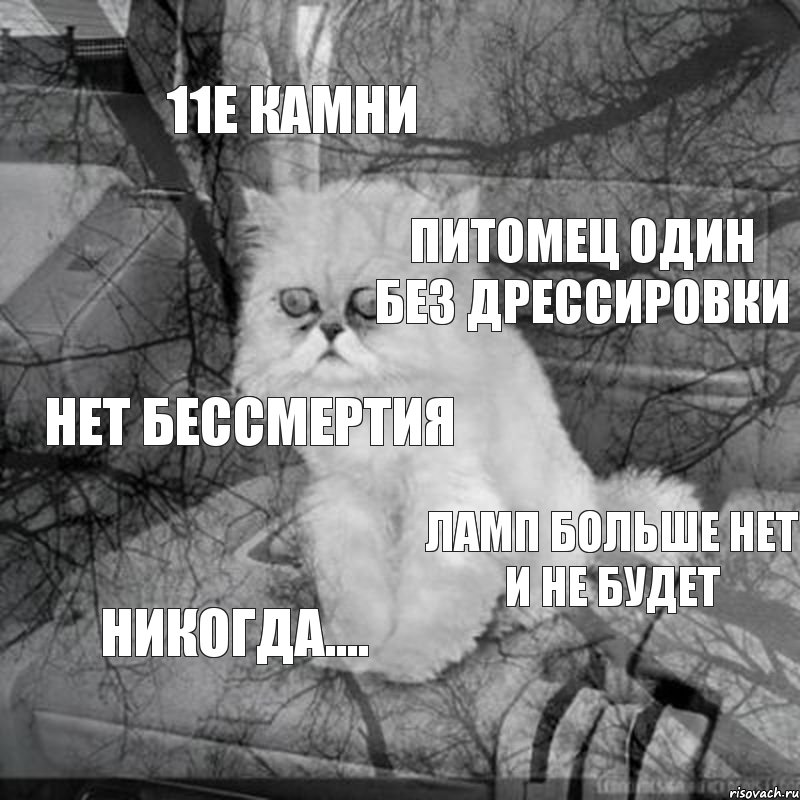 11е камни питомец один без дрессировки нет бессмертия ламп больше нет и не будет никогда....