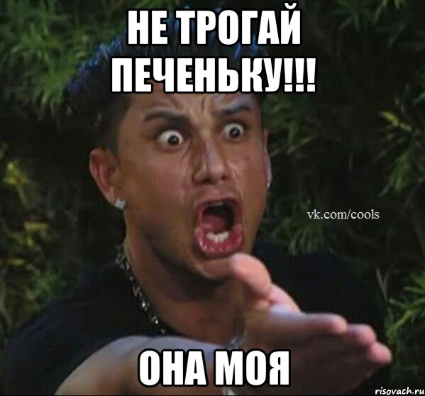 Не трогай печеньку!!! ОНА МОЯ
