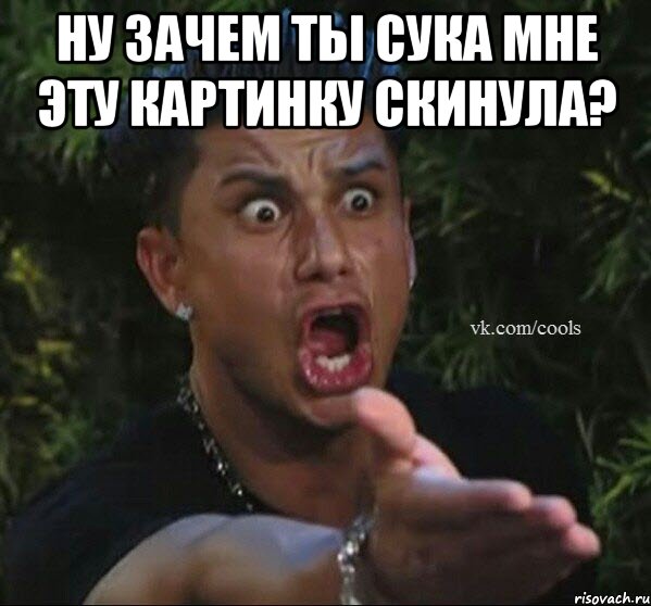 НУ ЗАЧЕМ ТЫ СУКА МНЕ ЭТУ КАРТИНКУ СКИНУЛА? 