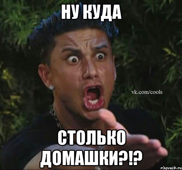 Ну куда Столько домашки?!?