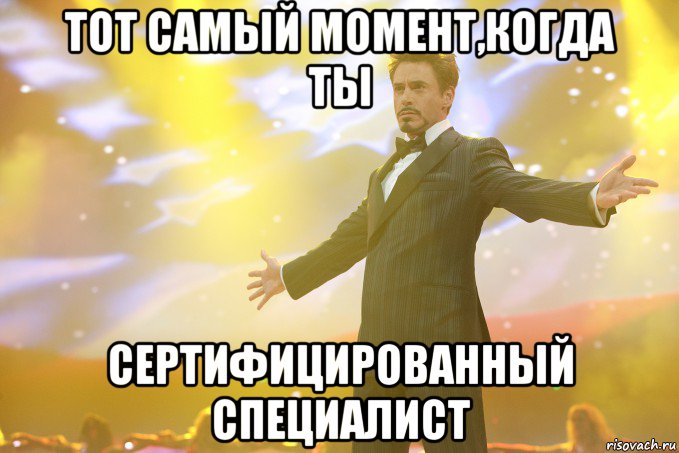 тот самый момент,когда ты сертифицированный специалист, Мем Тони Старк (Роберт Дауни младший)