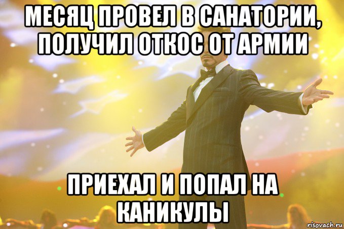 месяц провел в санатории, получил откос от армии приехал и попал на каникулы, Мем Тони Старк (Роберт Дауни младший)