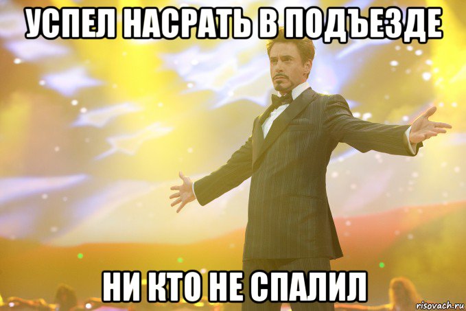 Успел насрать в подъезде ни кто не спалил, Мем Тони Старк (Роберт Дауни младший)