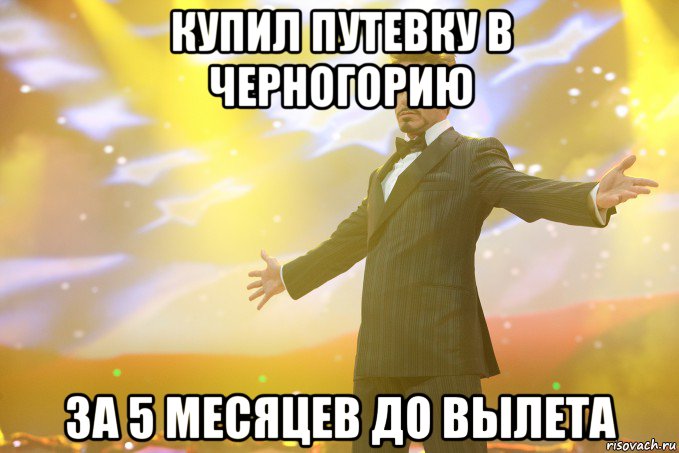 Купил путевку в Черногорию за 5 месяцев до вылета, Мем Тони Старк (Роберт Дауни младший)