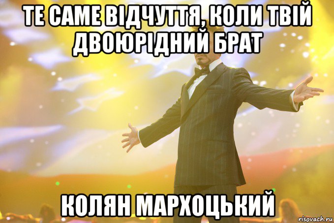 те саме відчуття, коли твій двоюрідний брат Колян Мархоцький, Мем Тони Старк (Роберт Дауни младший)