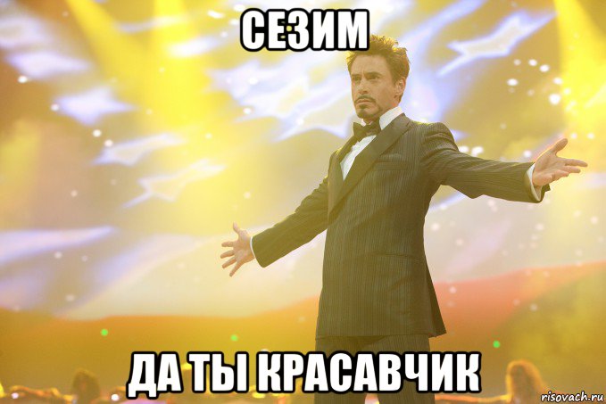 Сезим Да ты Красавчик, Мем Тони Старк (Роберт Дауни младший)