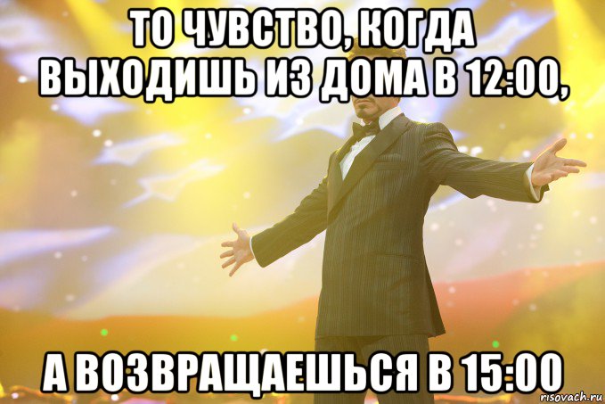 То чувство, когда выходишь из дома в 12:00, а возвращаешься в 15:00, Мем Тони Старк (Роберт Дауни младший)