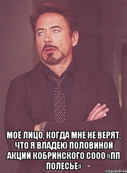  моё лицо, когда мне не верят, что я владею половиной акций кобринского СООО «ПП Полесье», Мем твое выражение лица