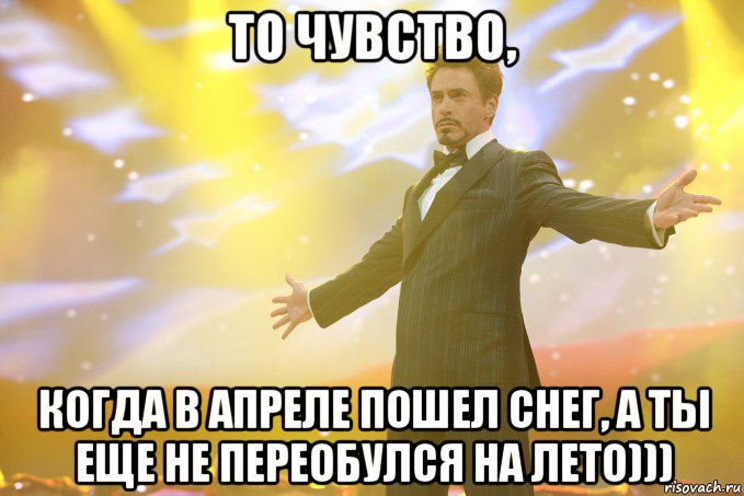 То чувство, когда в апреле пошел снег, а ты еще не переобулся на лето))), Мем Тони Старк (Роберт Дауни младший)