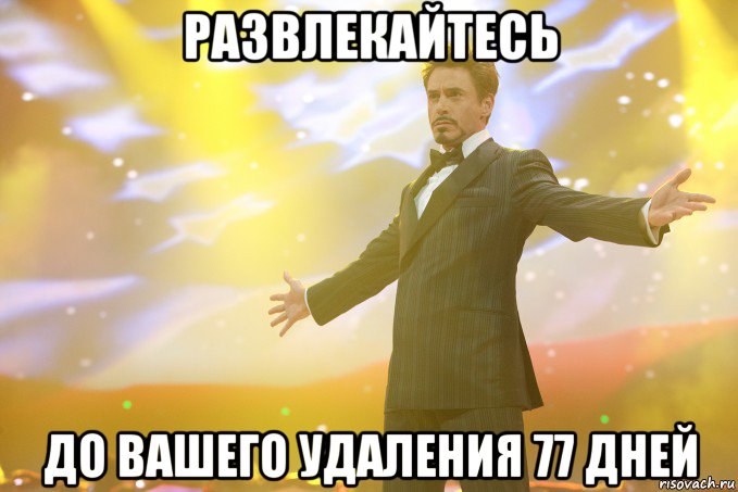 Развлекайтесь До вашего удаления 77 дней, Мем Тони Старк (Роберт Дауни младший)