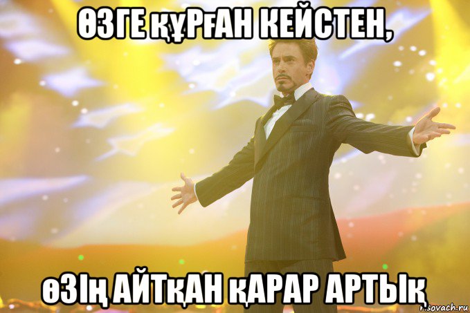 Өзге құрған кейстен, өзің айтқан қарар артық, Мем Тони Старк (Роберт Дауни младший)