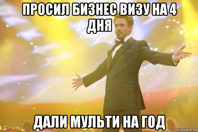 Просил бизнес визу на 4 дня Дали мульти на год, Мем Тони Старк (Роберт Дауни младший)