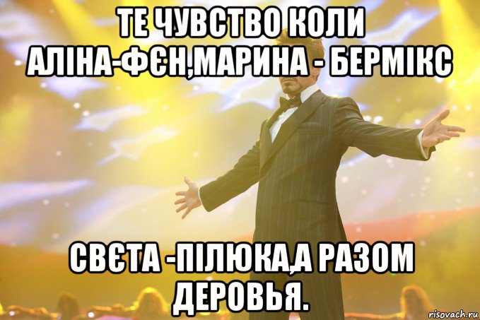 Те чувство коли Аліна-Фєн,Марина - Бермікс Свєта -Пілюка,а разом Деровья., Мем Тони Старк (Роберт Дауни младший)