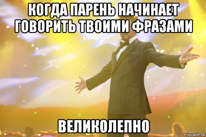 КОГДА ПАРЕНЬ НАЧИНАЕТ ГОВОРИТЬ ТВОИМИ ФРАЗАМИ ВЕЛИКОЛЕПНО, Мем Тони Старк (Роберт Дауни младший)