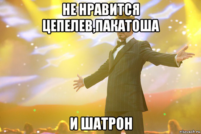 Не нравится Цепелев,Пакатоша и Шатрон, Мем Тони Старк (Роберт Дауни младший)