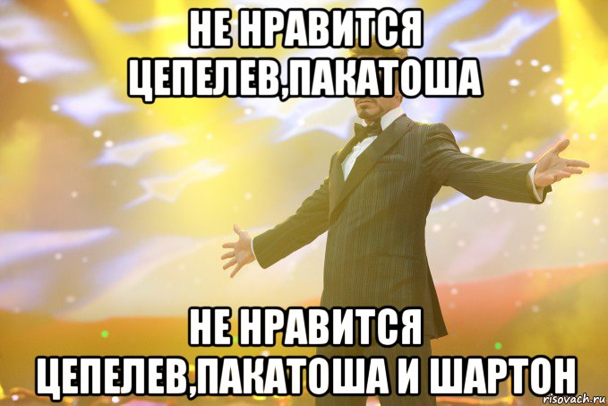 Не нравится Цепелев,Пакатоша Не нравится Цепелев,Пакатоша и Шартон, Мем Тони Старк (Роберт Дауни младший)