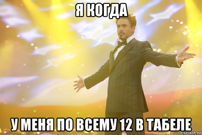Я когда У меня по всему 12 в табеле, Мем Тони Старк (Роберт Дауни младший)