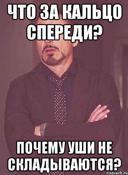 что за кальцо спереди? почему уши не складываются?, Мем твое выражение лица