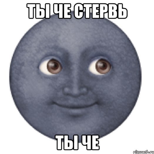 Ты че стервь Ты че