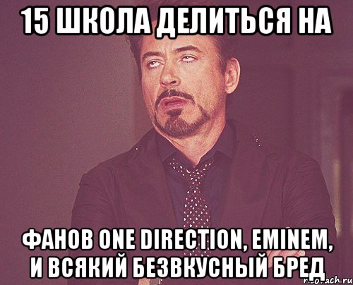 15 школа делиться на фанов One Direction, Eminem, И всякий безвкусный бред, Мем твое выражение лица