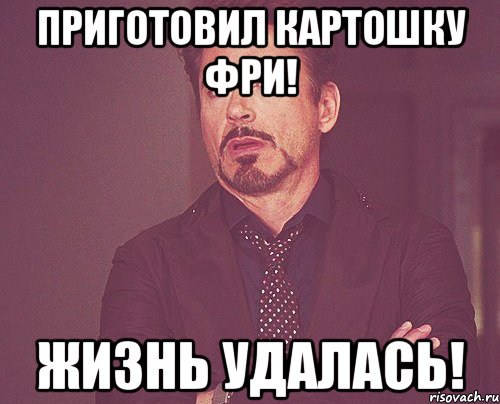 приготовил картошку фри! жизнь удалась!, Мем твое выражение лица