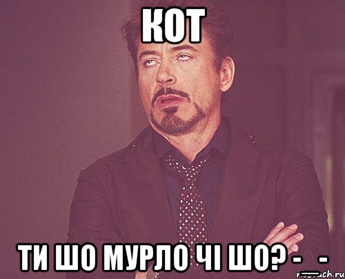Кот ти шо мурло чі шо? -_-, Мем твое выражение лица