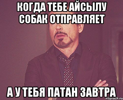 Когда тебе Айсылу собак отправляет а у тебя патан завтра, Мем твое выражение лица