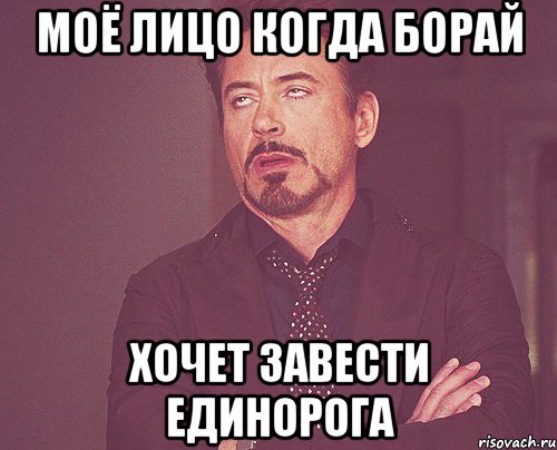 МОЁ ЛИЦО КОГДА БОРАЙ ХОЧЕТ ЗАВЕСТИ ЕДИНОРОГА, Мем твое выражение лица
