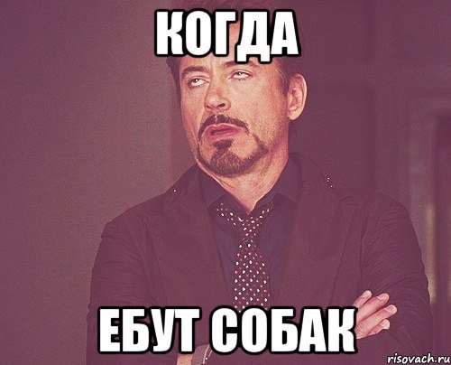 Когда ебут собак, Мем твое выражение лица