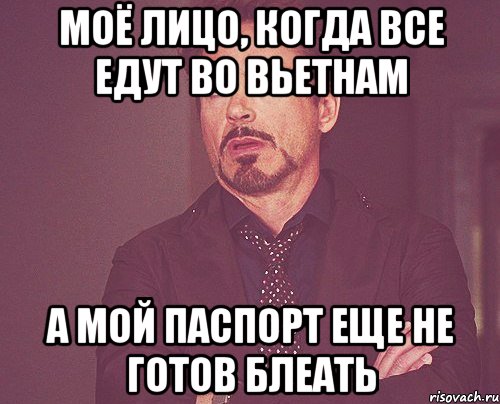 Моё лицо, когда все едут во Вьетнам А мой паспорт еще не готов блеать, Мем твое выражение лица