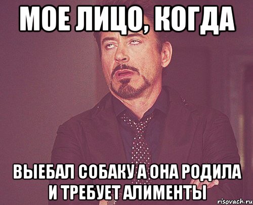мое лицо, когда выебал собаку а она родила и требует алименты, Мем твое выражение лица
