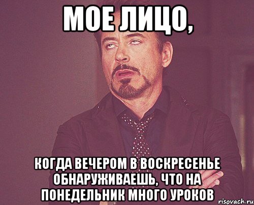 МОЕ ЛИЦО, КОГДА ВЕЧЕРОМ В ВОСКРЕСЕНЬЕ ОБНАРУЖИВАЕШЬ, ЧТО НА ПОНЕДЕЛЬНИК МНОГО УРОКОВ, Мем твое выражение лица