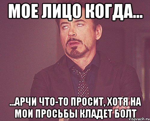 Мое лицо когда... ...Арчи что-то просит, хотя на мои просьбы кладет болт, Мем твое выражение лица