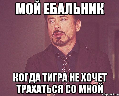Мой ебальник Когда Тигра не хочет трахаться со мной, Мем твое выражение лица