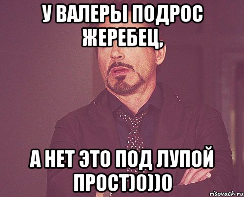 У Валеры подрос жеребец, А нет это под лупой прост)0))0, Мем твое выражение лица