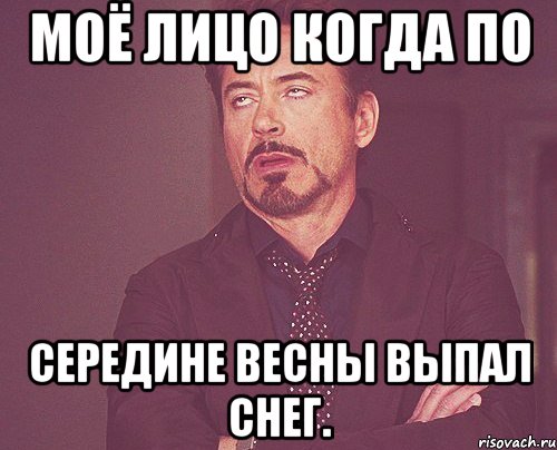 Моё лицо когда по середине весны выпал снег., Мем твое выражение лица