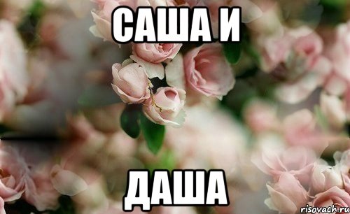 Саша и Даша