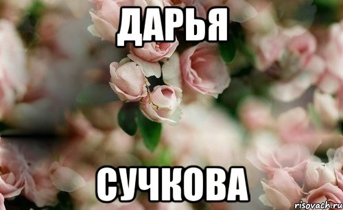 Дарья Сучкова