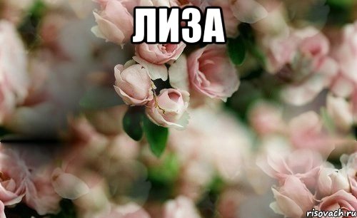 лиза 