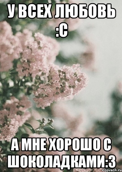 У всех любовь :c А мне хорошо с шоколадками:3
