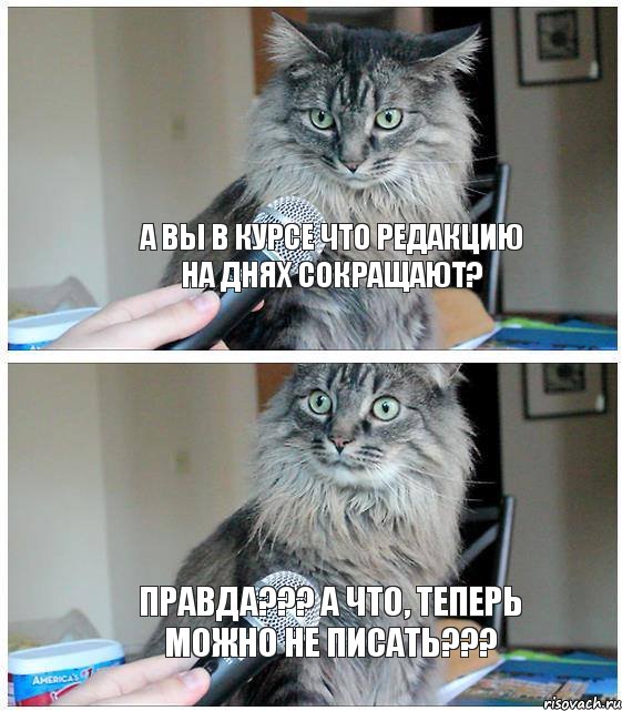 А вы в курсе что редакцию на днях сокращают? Правда??? А что, теперь можно не писать???, Комикс  кот с микрофоном