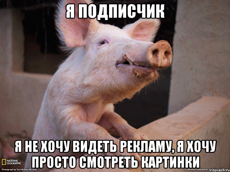 я подписчик я не хочу видеть рекламу, я хочу просто смотреть картинки, Мем уккцукуцк